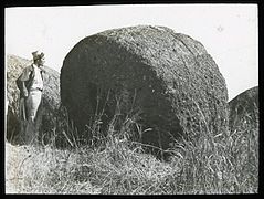 View of a large round stone, to be used as part of a moai, with a Polynesian man standing beside it, for scale; outside of Puna Pau, Oc,G.T.1626, Mana Expedition to Easter Island, British Museum.jpg