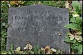 Gravestone of his mother: Anna Cornelia van Gogh-Carbentus (Leiden, Netherlands - Cemetery Groenesteeg)
