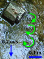 marking of vortices in a small river