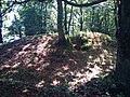 Guidel : le tumulus de Kerméné.