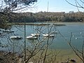 Parcs à huîtres dans la ria du Belon vus des environs de l'anse de Lanriot (située en Moëlan-sur-Mer).