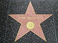 Hollywood Walk Of Fame