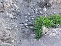 What was once the volcanic crater of Mount Taylor, New Mexico, in 2011.