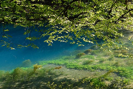 "Blaubeuren_Blautopf_20180804_02.jpg" by User:Uoaei1