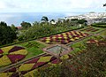 Botanical garden, Funchal in the back