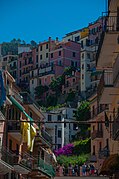 Houses in Manarola, Cinque Terre, Italy.jpg