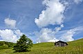 English: At the Mussen alp Deutsch: Auf der Mussen-Alm