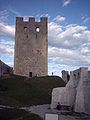 The Frederick Tower of the Celje Upper Castle, 2004