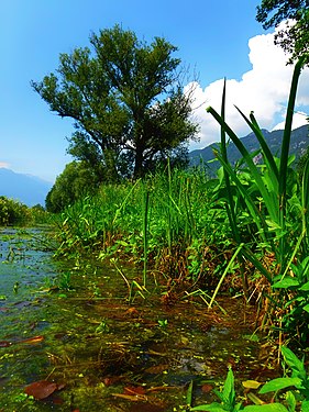 Postal Biotope Ontaneti