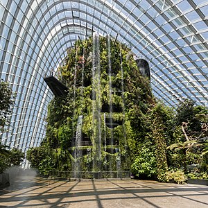 "Cloud_Forest,_Gardens_by_the_Bay,_Singapore.jpg" by User:Basile Morin