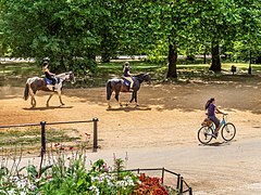 London Hyde Park riders-20130715-RM-130028.jpg