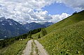 English: Alp pastures on the Mussen alp Deutsch: Almwiesen auf der Mussen