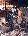 Extracting the coir (fibre from the husk)