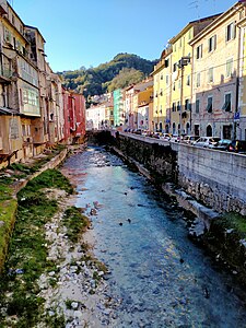 Carrione river and green nature plants, photo.