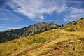 On the GR 10 hiking route near the Col de la Cirere, dept. Pyrénées-Orientales