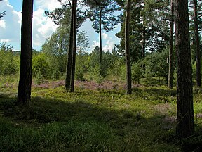 Burgwald, Germany