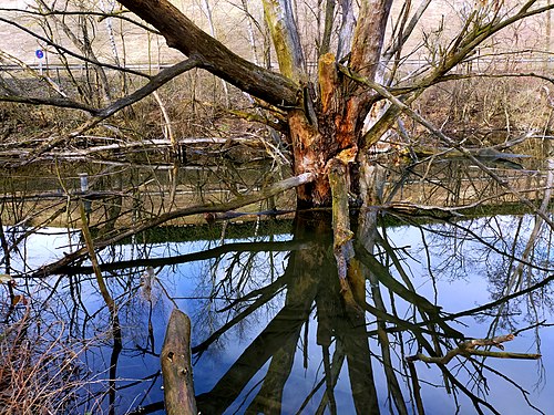 Valsura protected area in winter