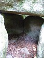 Guidel : le dolmen de Lesvariel, l'intérieur.