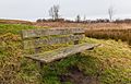 Houten bank onder een Iep (Ulmus) in het Iepenarboretum joure.