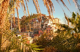 Manarola Town Cinque Terre.jpg