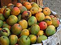 Mangga gedong gincu at roadside of Tomo.