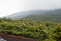 High altitude forest (2190 m) in spring, Okuniwa (奥庭) in Mt. Fuji, Yamanshi pref., Japan