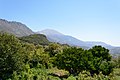 * Nomination Psilorits (Ψηλορείτης, 2456 m), highest mountain in Crete, viewed from Thronos in the Amari Valley --Uoaei1 06:14, 1 February 2016 (UTC) * Promotion  Support Good quality. --Johann Jaritz 06:58, 1 February 2016 (UTC)