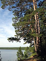 Lake Arey, Bal'zoj, Chitinskaya Oblast, Russia