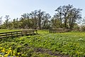 Natuur rondom de Prinses Margriettunnel.