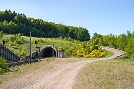 Willebadessen - 2017-05-27 - Eggetunnel Südportal (07).jpg