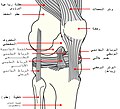 العربية (jpg)