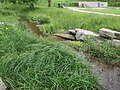 The symbolic spring is located next to the flowing river.