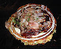 Okonomiyaki, with Aonori and Katsuobushi 青海苔をかけたお好み焼き