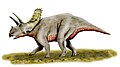 Arrhinoceratops