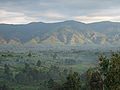 Rwenzori mountains, Uganda (29/22)