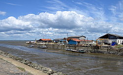 Port de Larros(Bassin d'Arcachon)