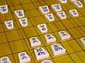 Shogi, also known as Japanese chess, is a two-player board game in the same family as Western chess.