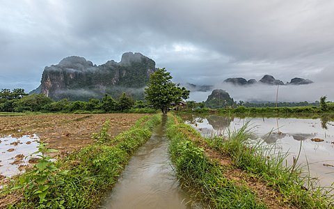 "Front_view_of_a_stream_with_a_tree_as_vanishing_point,_mountains_and_mist_in_the_countryside_of_Vang_Vieng.jpg" by User:Basile Morin