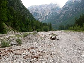 Vast moraine deposits in Robanov kot, Slovenia