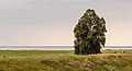 Uitzichttoren “Seedyk Kiekje”, Liemerige Wei, Oudemirdum. zicht op het IJsselmeer.