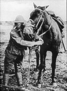 Gasmasks for man and horse