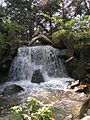 Otoko daki (male cascade).