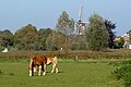 Lindesche molen, Linde, Netherlands