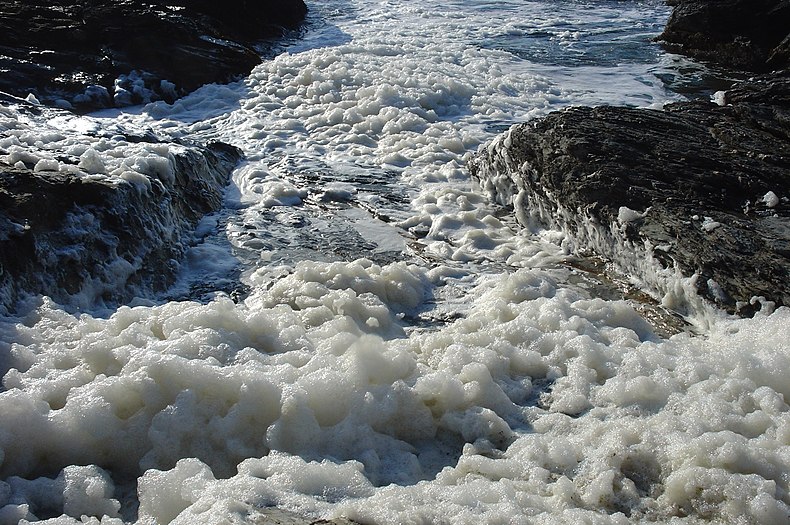 Sea foam in Jamestown