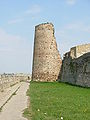 Scarp on the Danube side