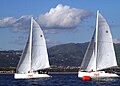 U.S. Sailing Team