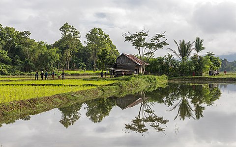 "Water_reflection_of_a_wooden_house_surrounded_by_trees_with_farmers_walking_in_the_paddy_fields_of_Vang_Vieng_Laos.jpg" by User:Basile Morin