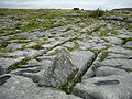 The typical lime stone pavement of the Burren