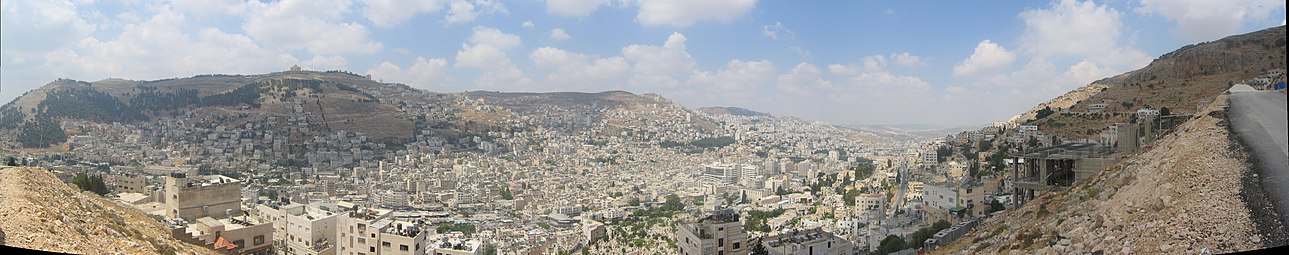 panoramic picture of the city