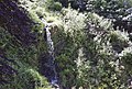 Saint-Goazec, parc du château de Trévarez : la cascade du vallon romantique